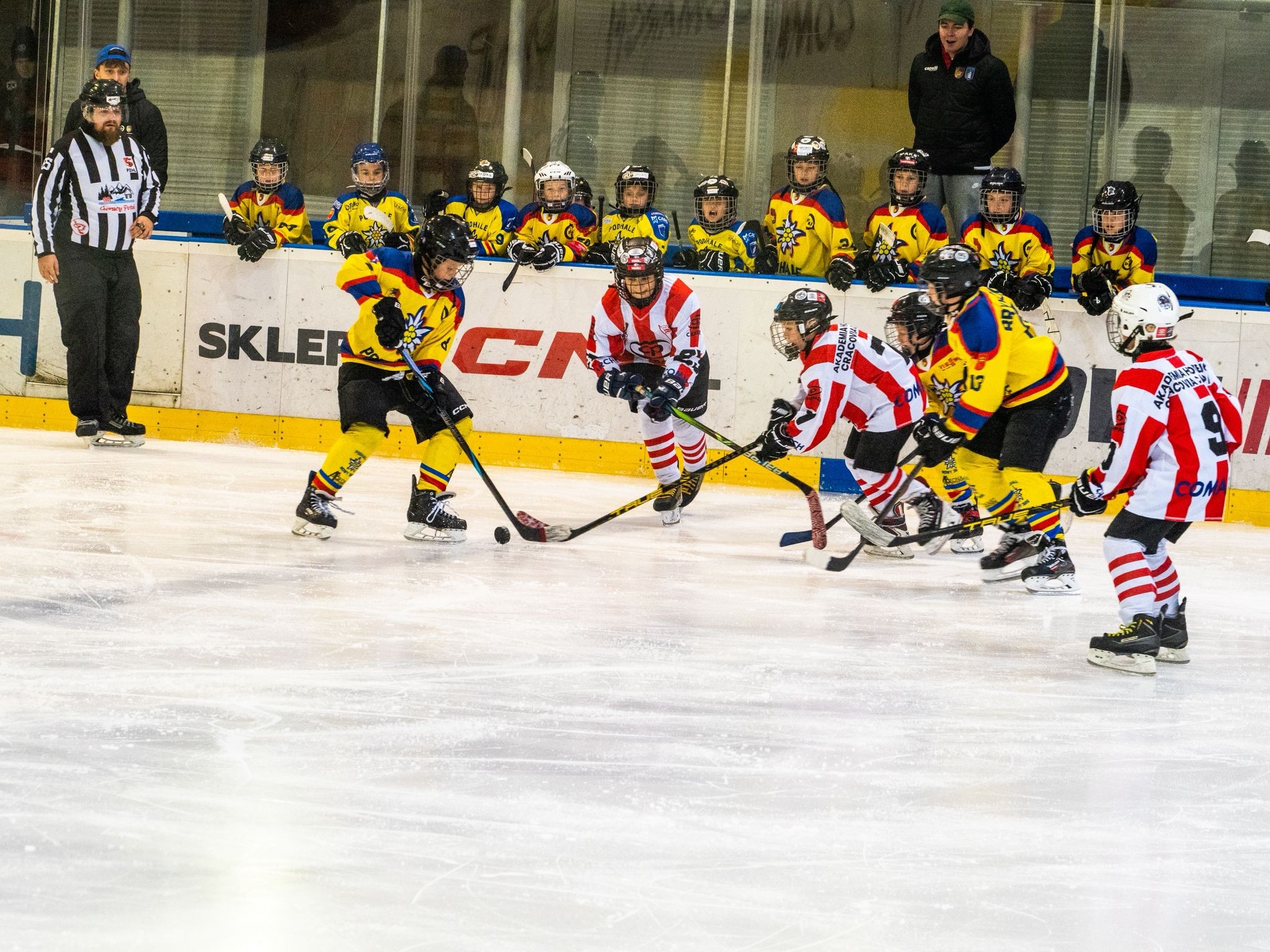 Żak młodszy w starciu z Podhalem