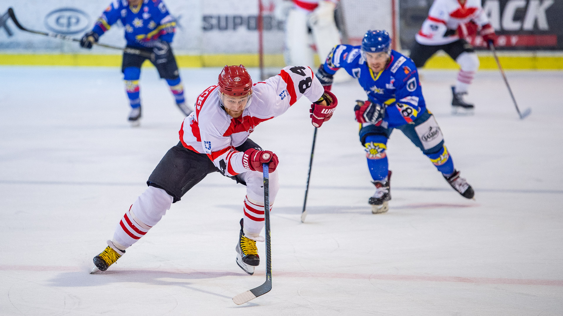 KH Podhale Nowy Targ - Comarch Cracovia godz. 18:00