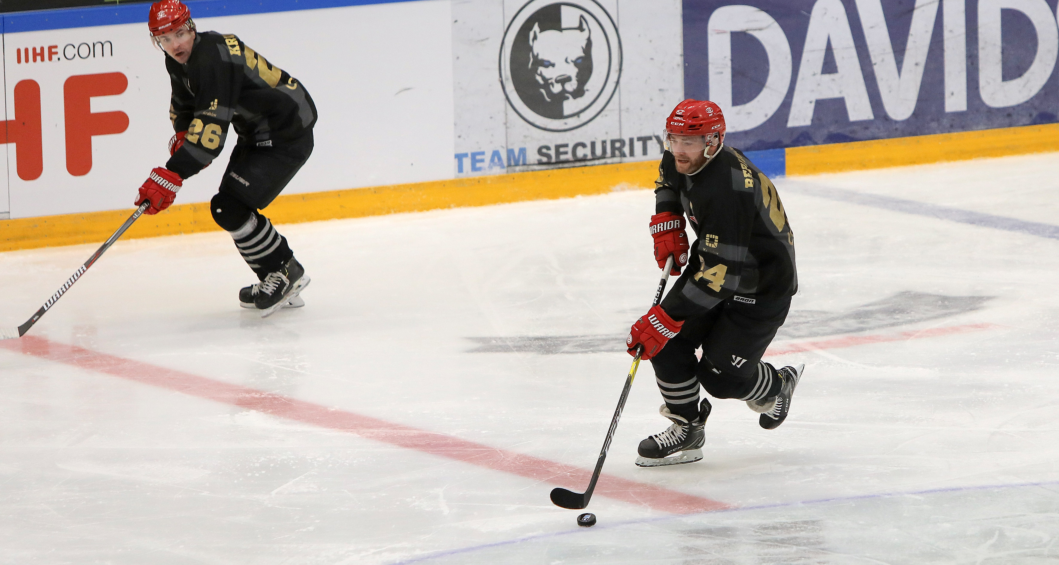 Puchar Kontynentalny: Nottingham Panthers - Comarch Cracovia godz. 16:00