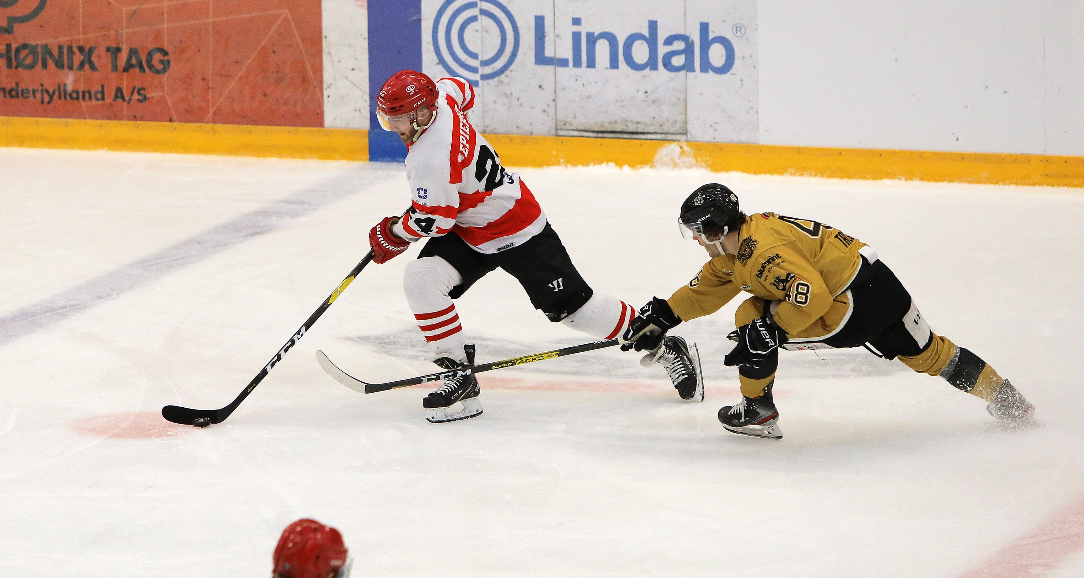 Puchar Kontynentalny: Nottingham Panthers - Comarch Cracovia [SKRÓT]
