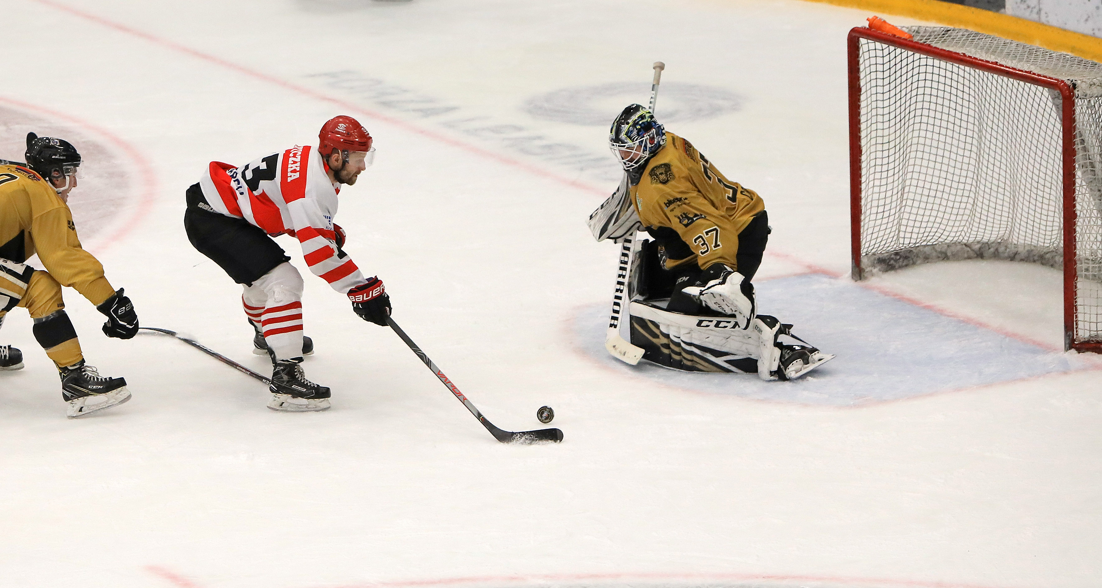 Puchar Kontynentalny: Nottingham Panthers - Comarch Cracovia [FOTO]
