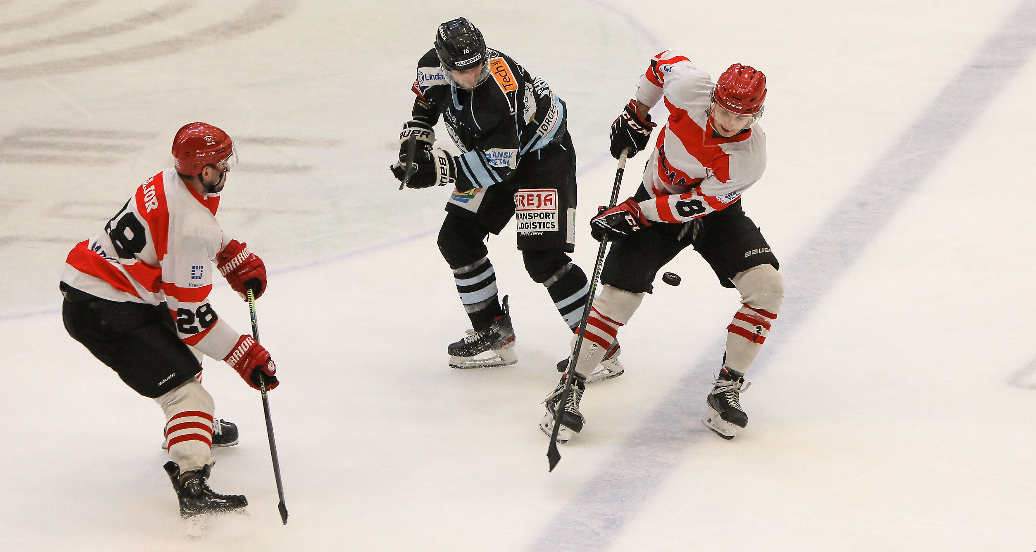 Puchar Kontynentalny: Comarch Cracovia - SønderjyskE Ishockey [FOTO]