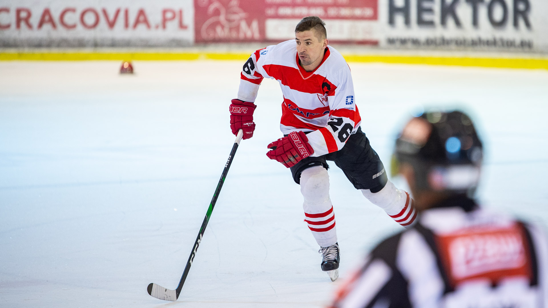 Polska Hokej Liga: Comarch Cracovia - JKH GKS Jastrzębie [TRANSMISJA, RELACJA LIVE]