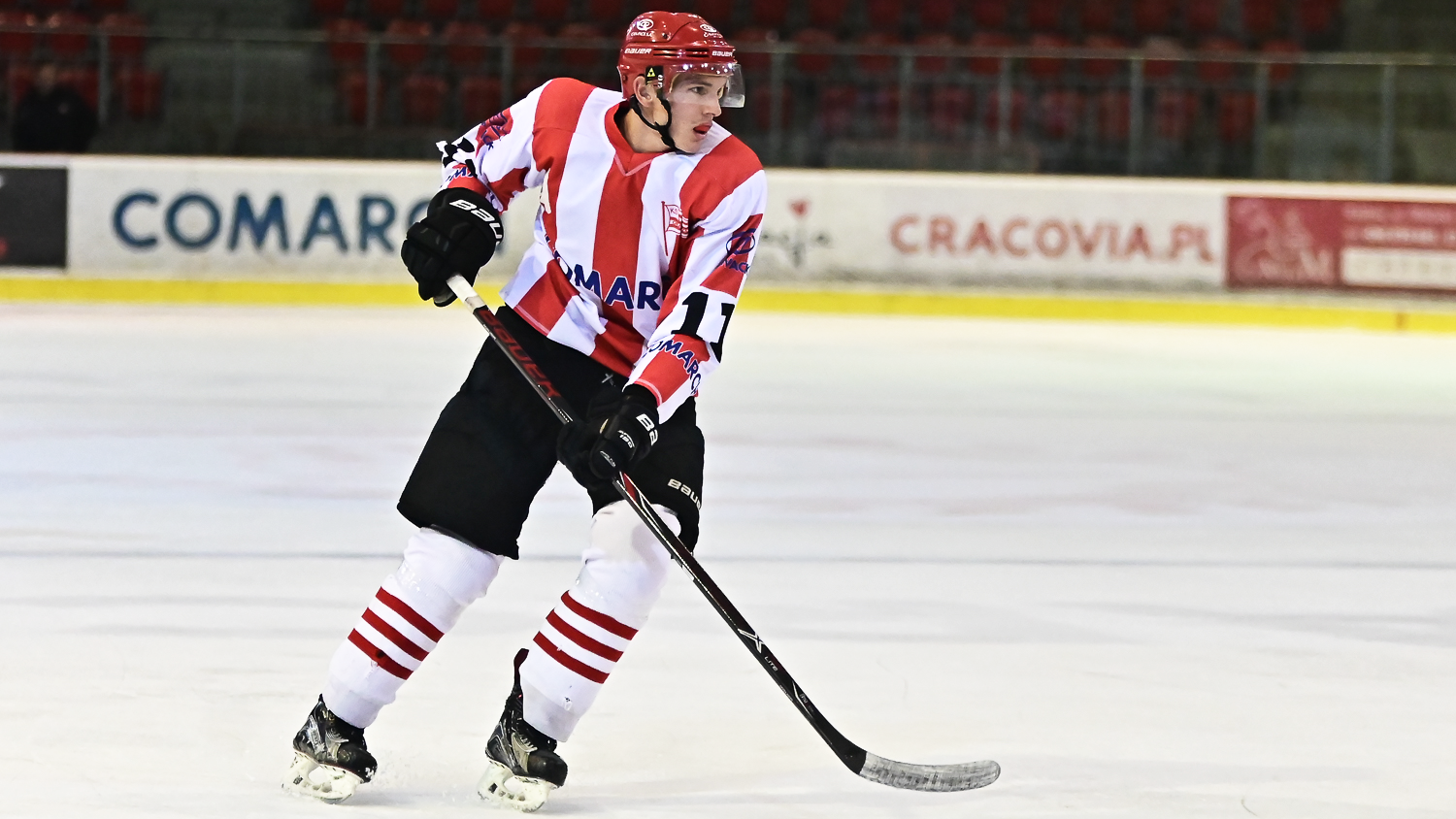 MHL: Pasy zmierzą się z Niedźwiadkami Sanok