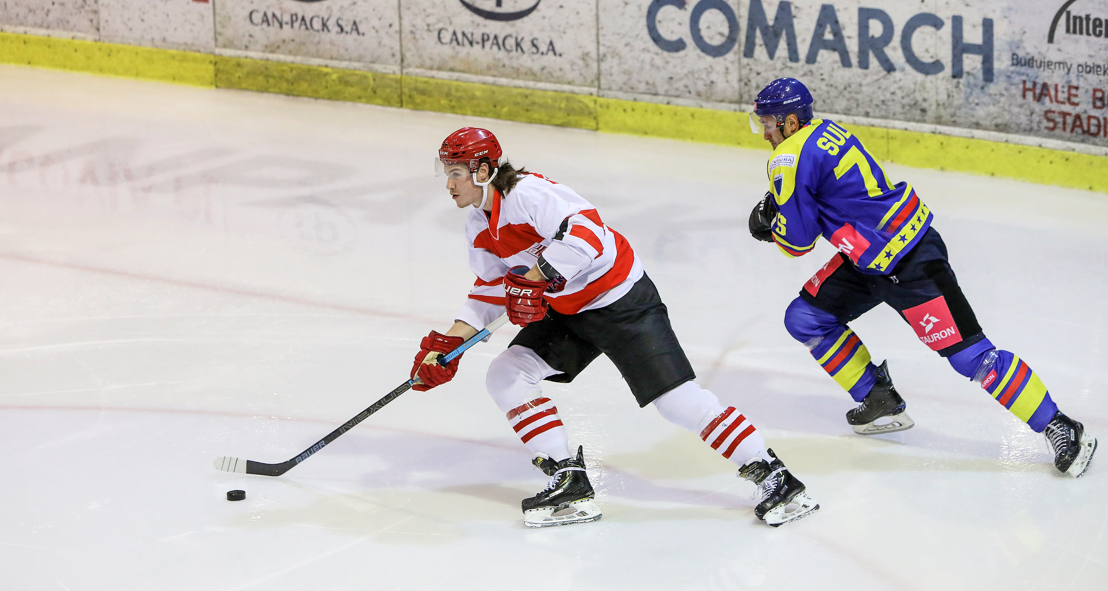 Tauron Podhale Nowy Targ – Comarch Cracovia [RELACJA LIVE, TRANSMISJA]