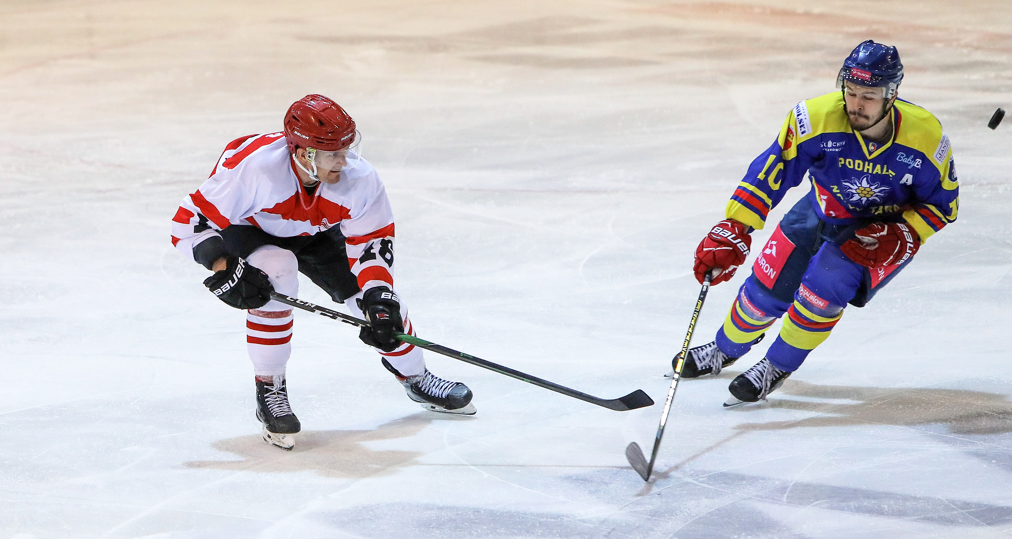 Comarch Cracovia – Tauron Podhale Nowy Targ, godz. 18:30