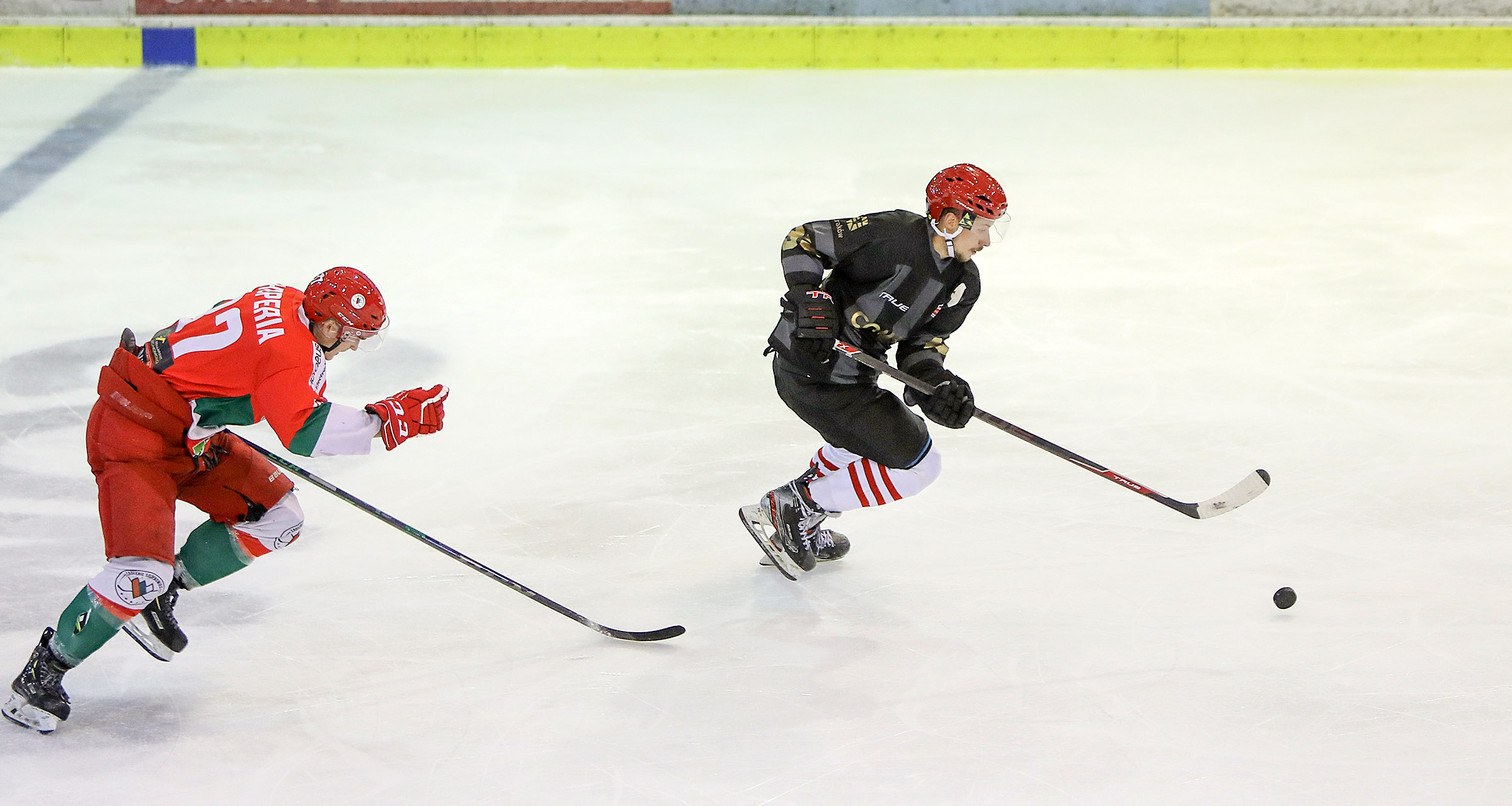 PHL: Zagłębie Sosnowiec – Comarch Cracovia, godz. 19:00