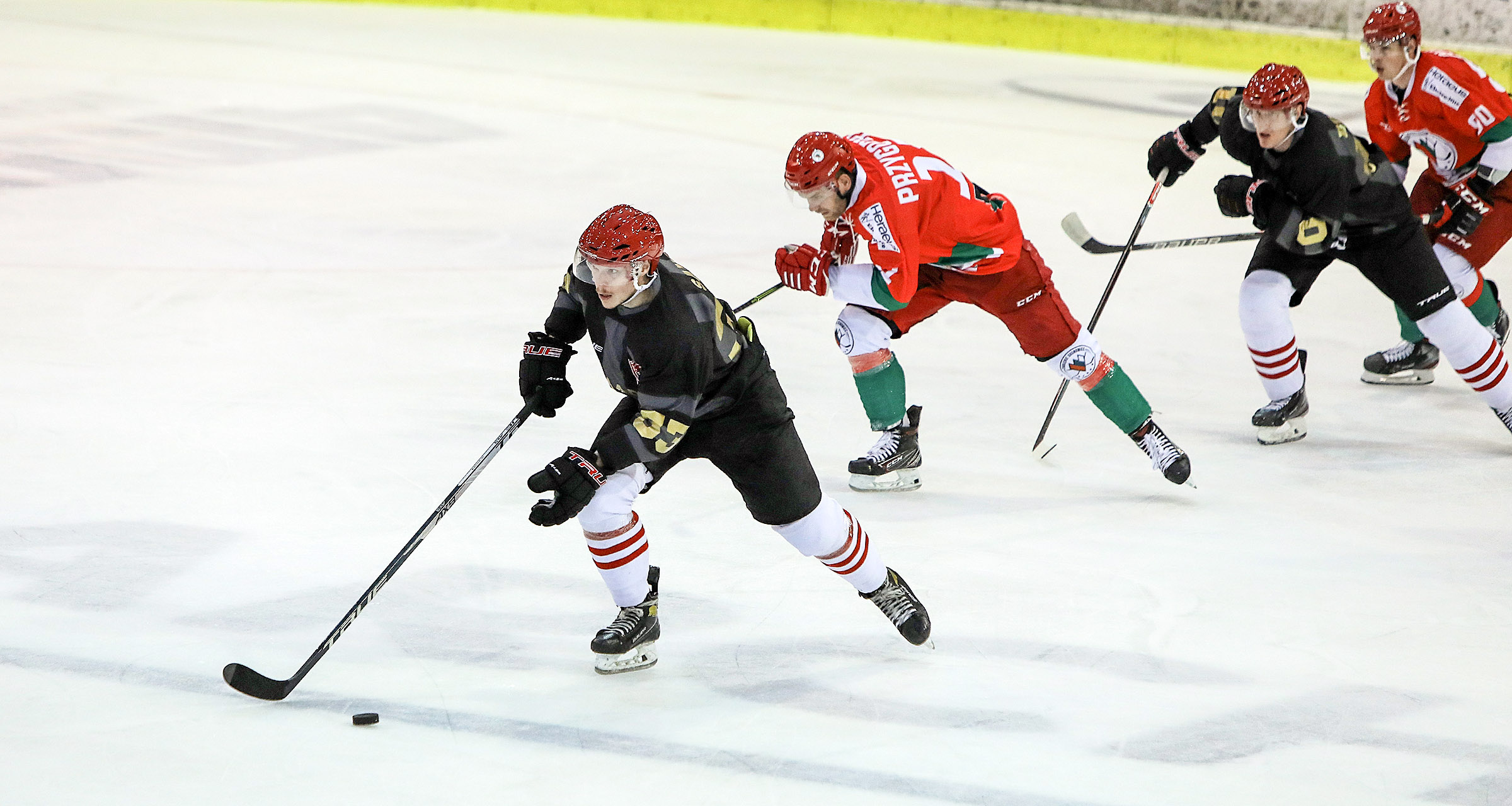 PHL: Comarch Cracovia - Zagłębie Sosnowiec [RELACJA LIVE, TRANSMISJA]