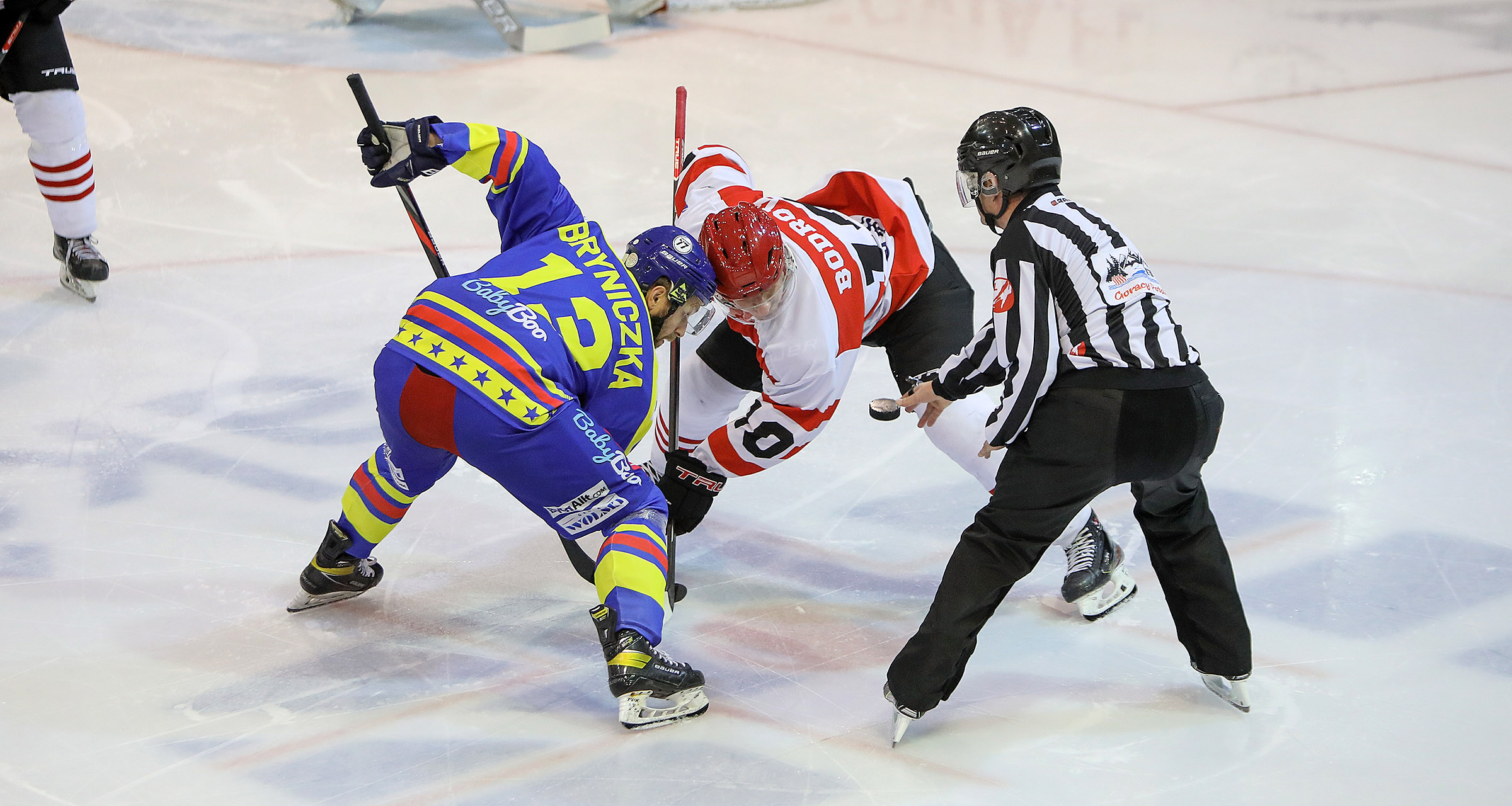 PHL: Comarch Cracovia – Tauron Podhale Nowy Targ, godz. 18:30