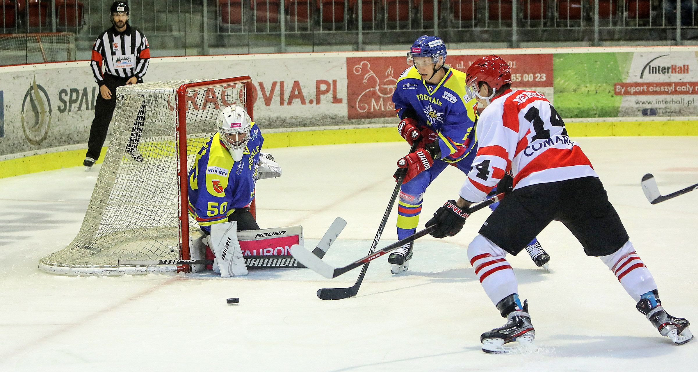 PHL: Comarch Cracovia – Tauron Podhale Nowy Targ (16 września, godz. 18:30)