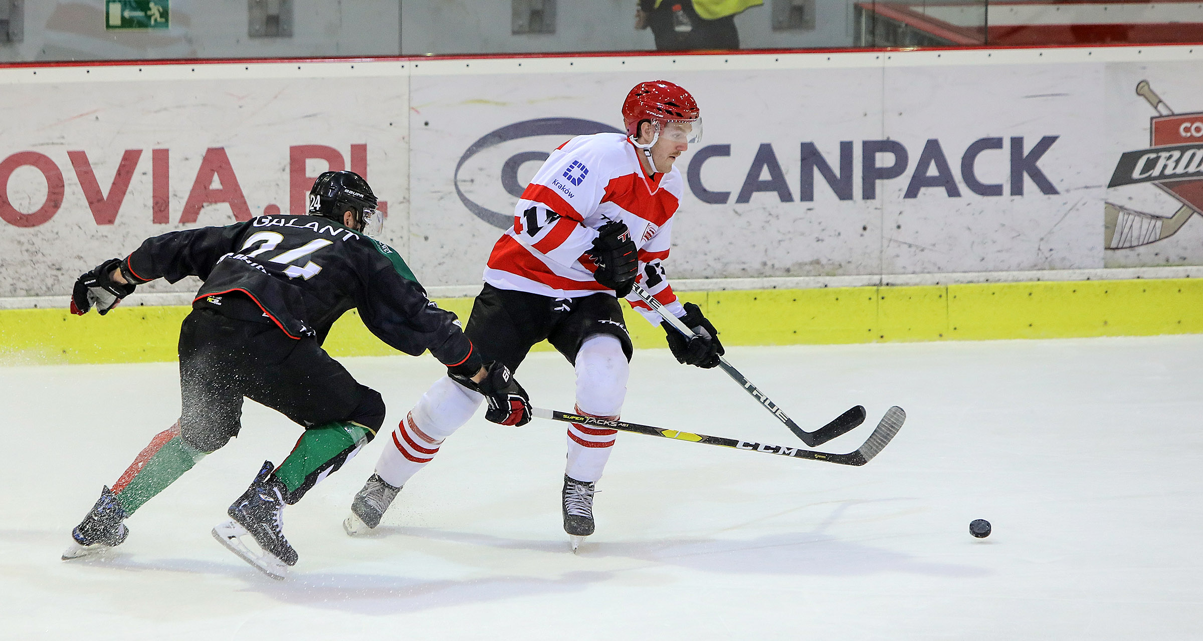 PHL: Comarch Cracovia - GKS Tychy [RELACJA LIVE, TRANSMISJA]