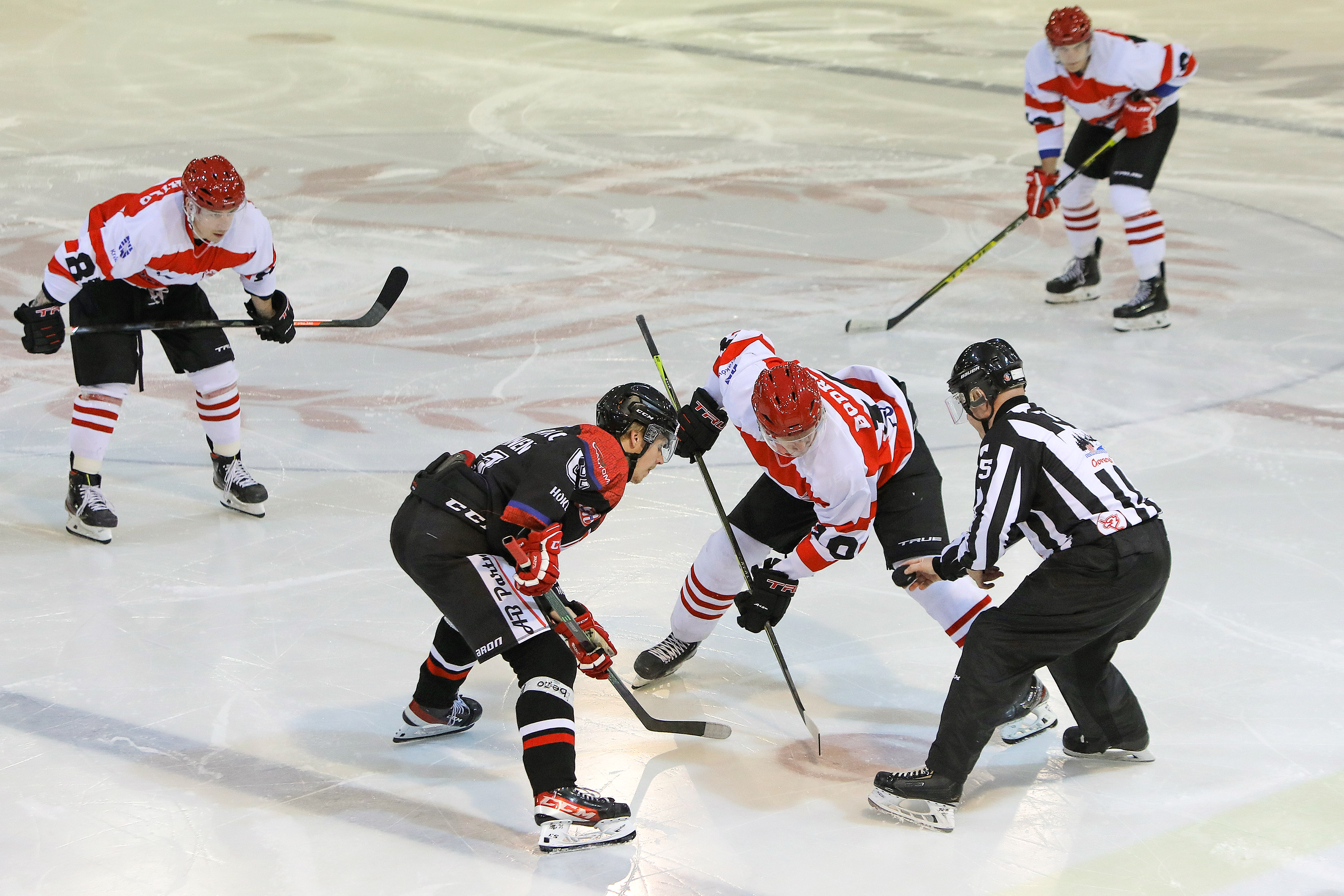 PHL: Ciarko STS Sanok – Comarch Cracovia, godz. 18:00