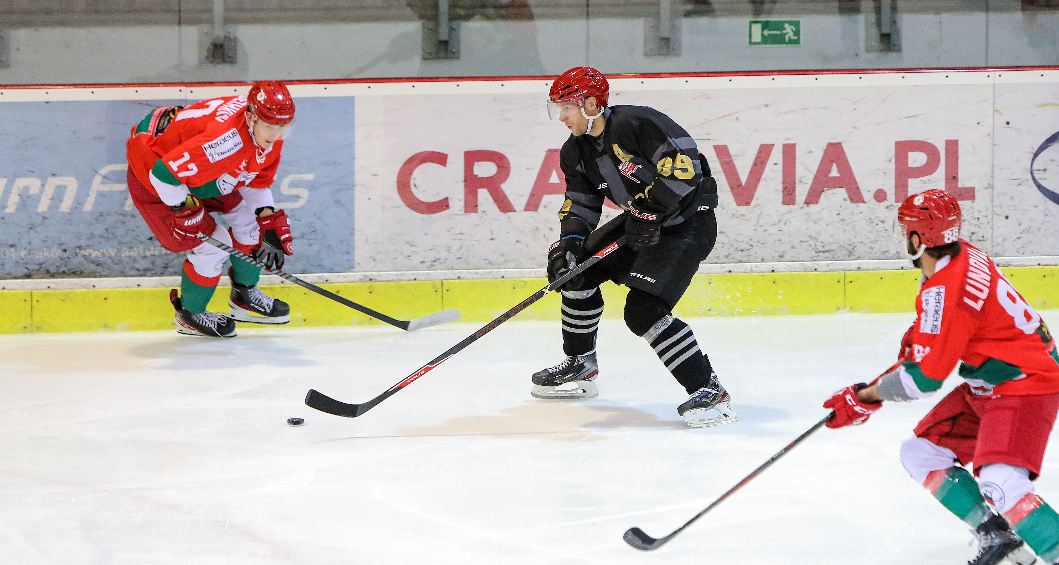 PHL: Zagłębie Sosnowiec – Comarch Cracovia, godz. 19:00