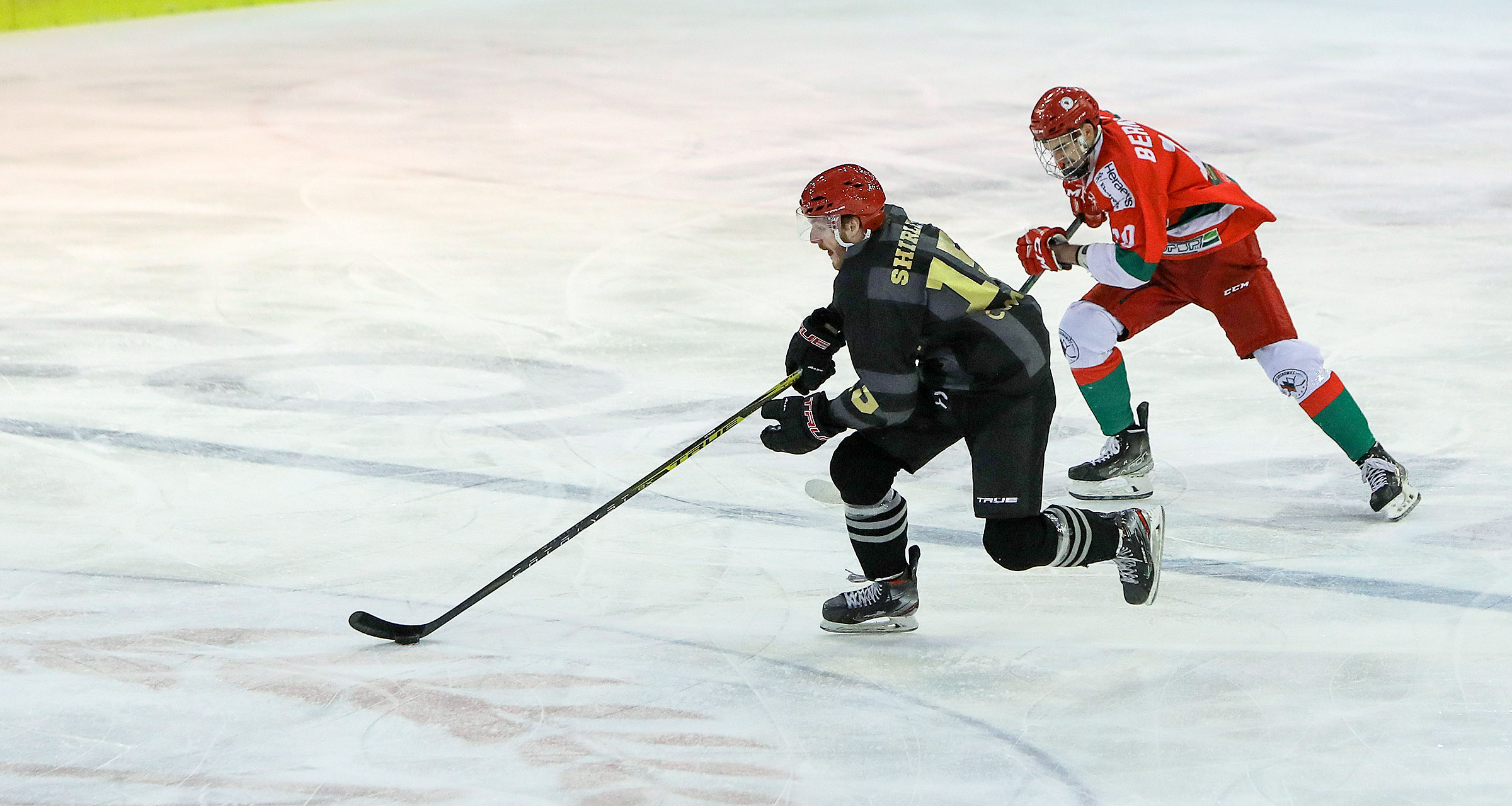 PHL: Comarch Cracovia - Zagłębie Sosnowiec [FOTO]