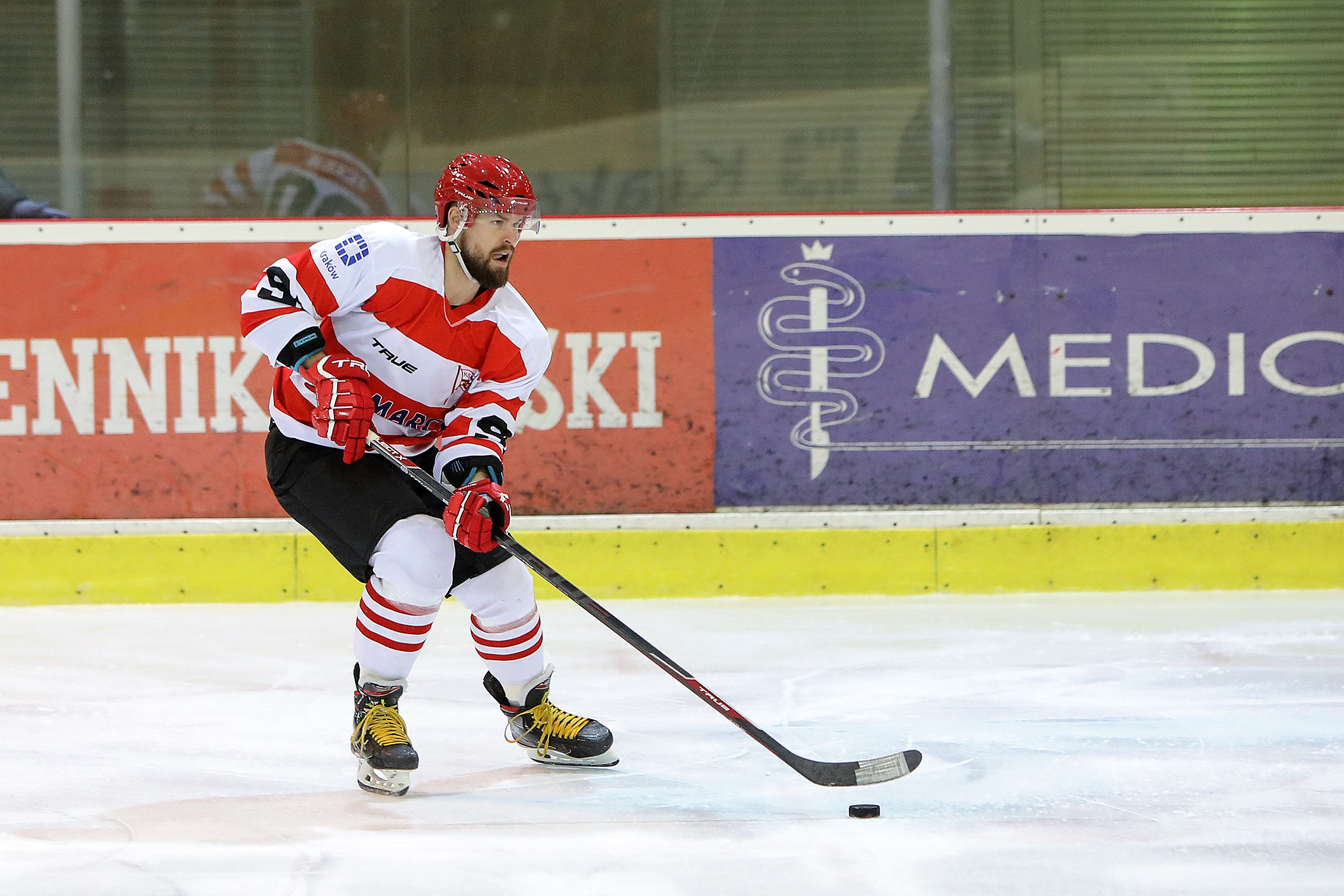 PHL: Comarch Cracovia - Tauron Podhale Nowy Targ [RELACJA LIVE, TRANSMISJA]