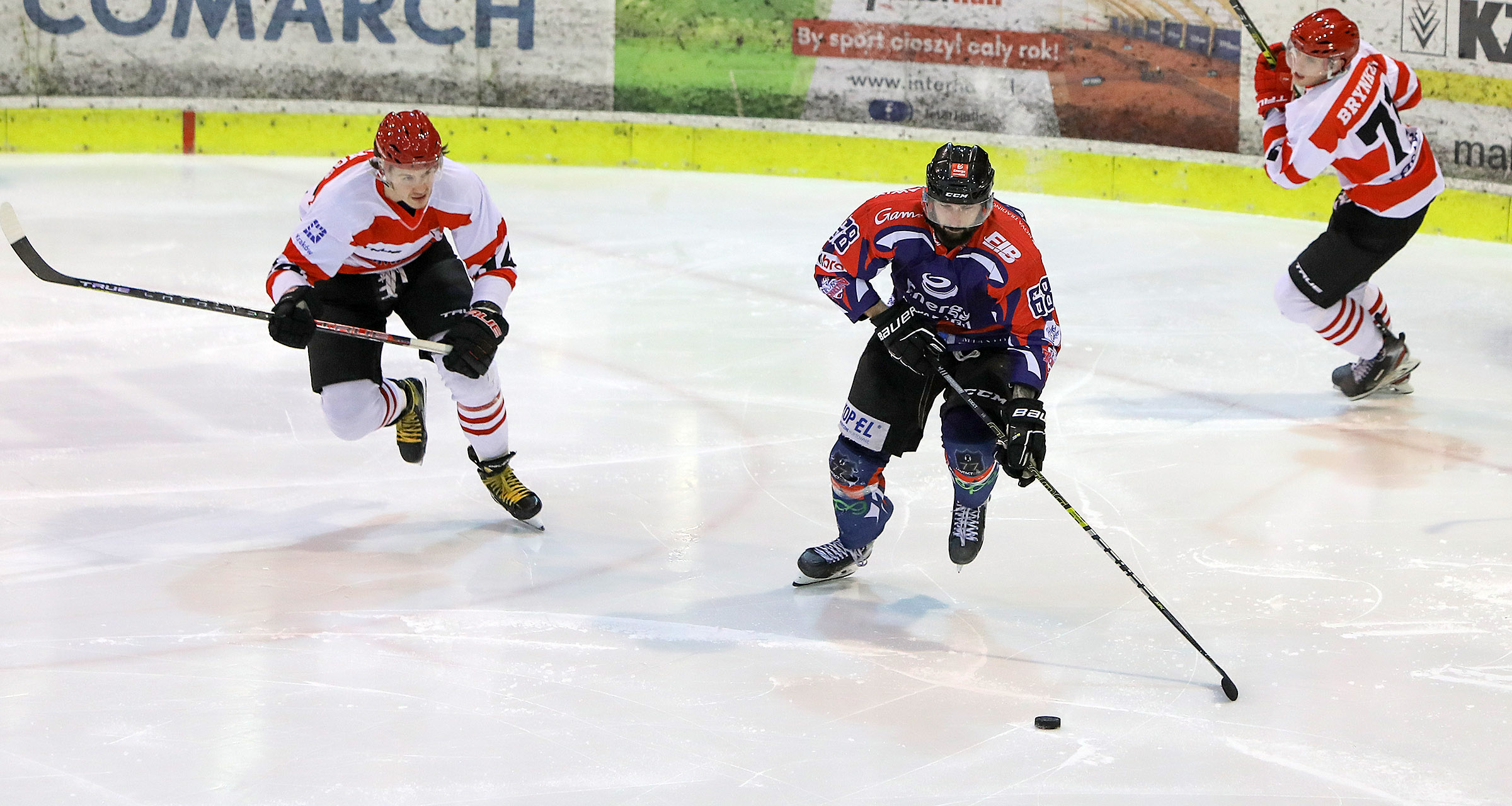 PHL: Comarch Cracovia - KH Energa Toruń [FOTO]