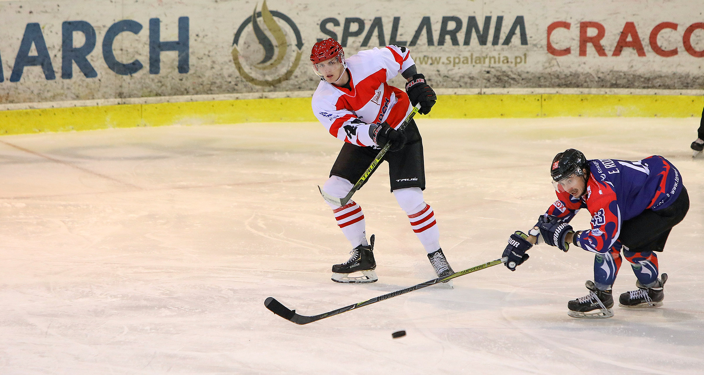 Polska Hokej Liga: KH Energa Toruń - Comarch Cracovia [TRANSMISJA, RELACJA LIVE]