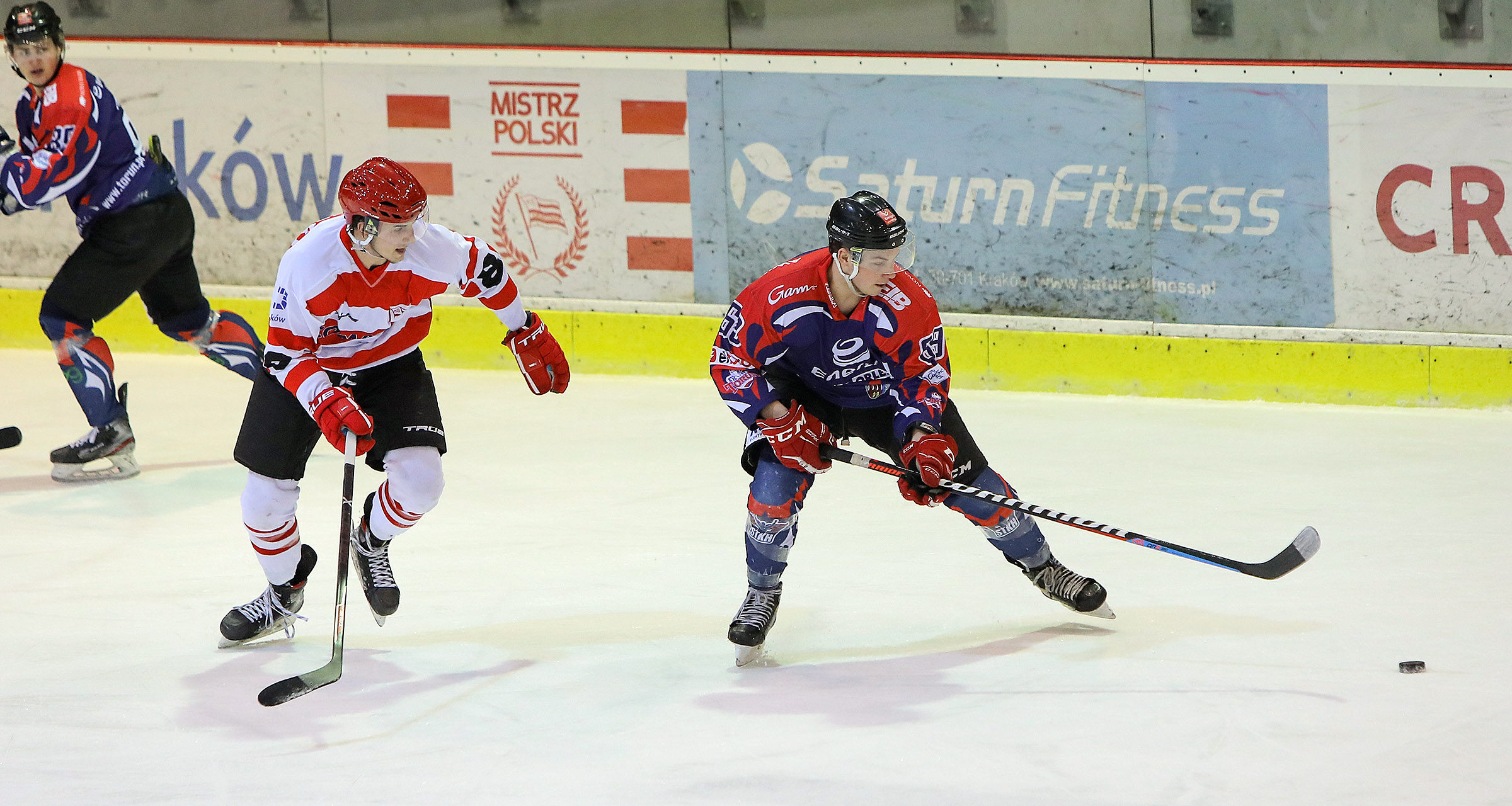 Polska Hokej Liga: KH Energa Toruń - Comarch Cracovia, godz. 18:30
