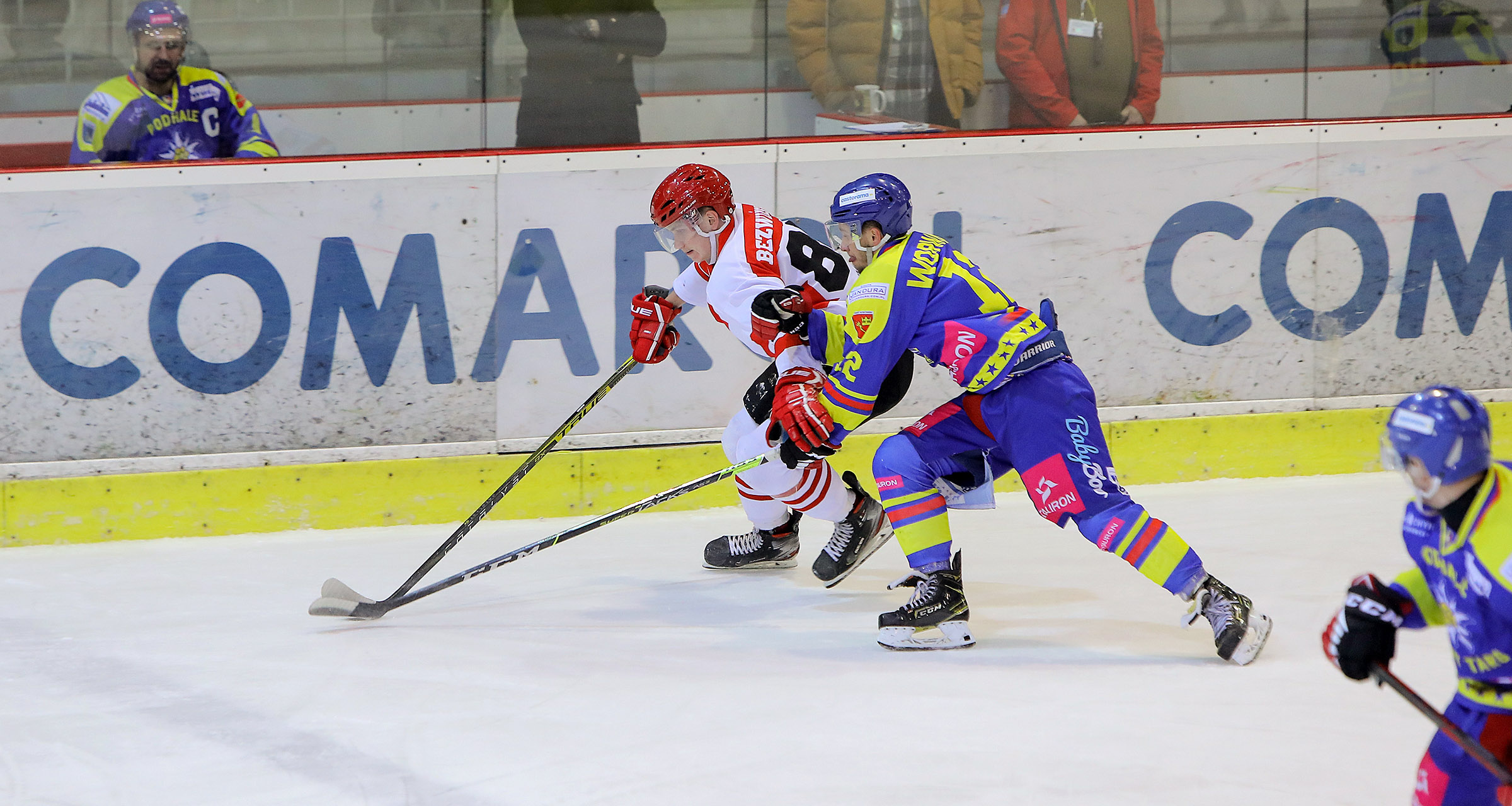 PHL: Comarch Cracovia - Tauron Podhale Nowy Targ [FOTO]