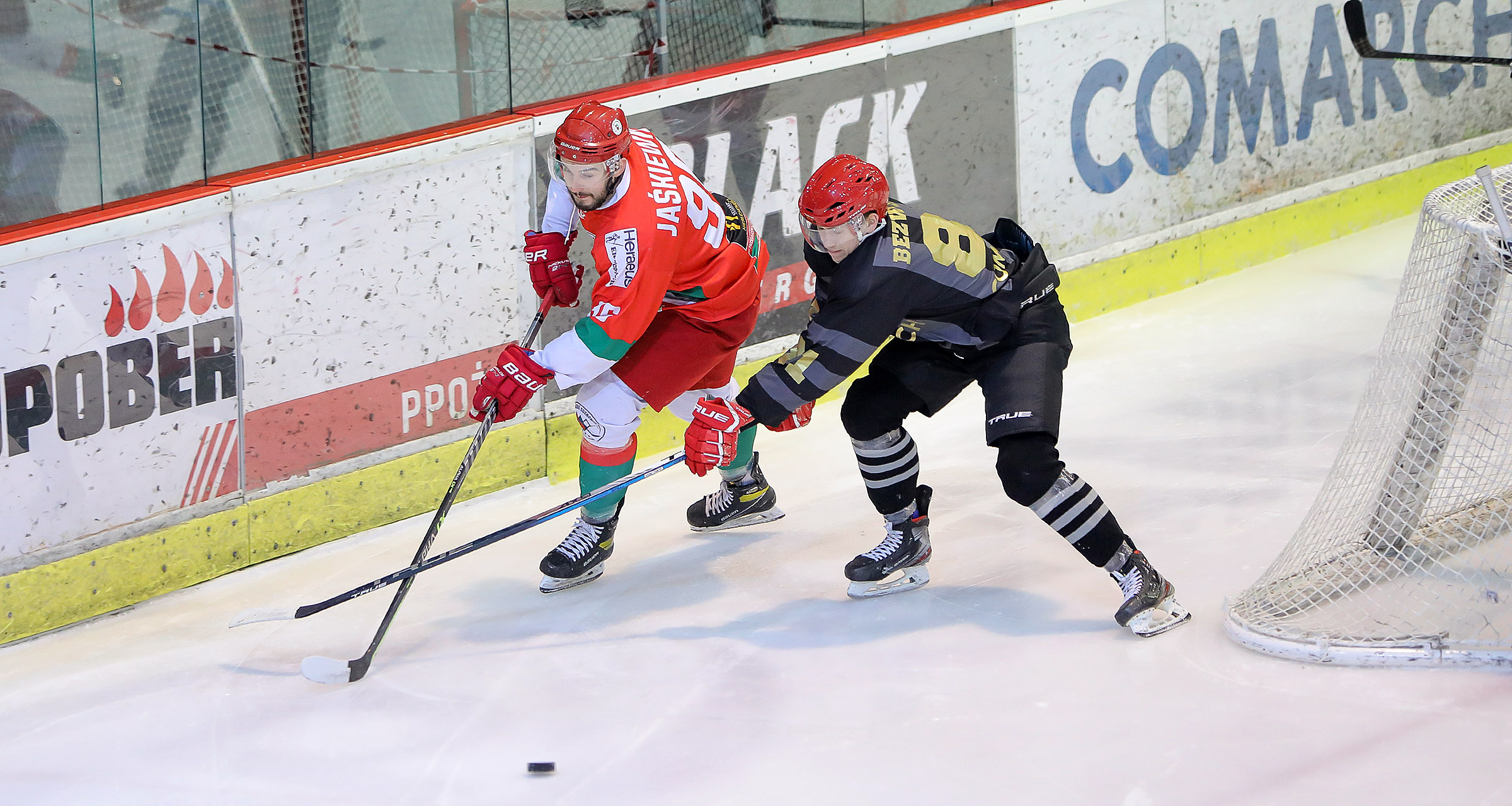 PHL: Comarch Cracovia - Zagłębie Sosnowiec [GALERIA]