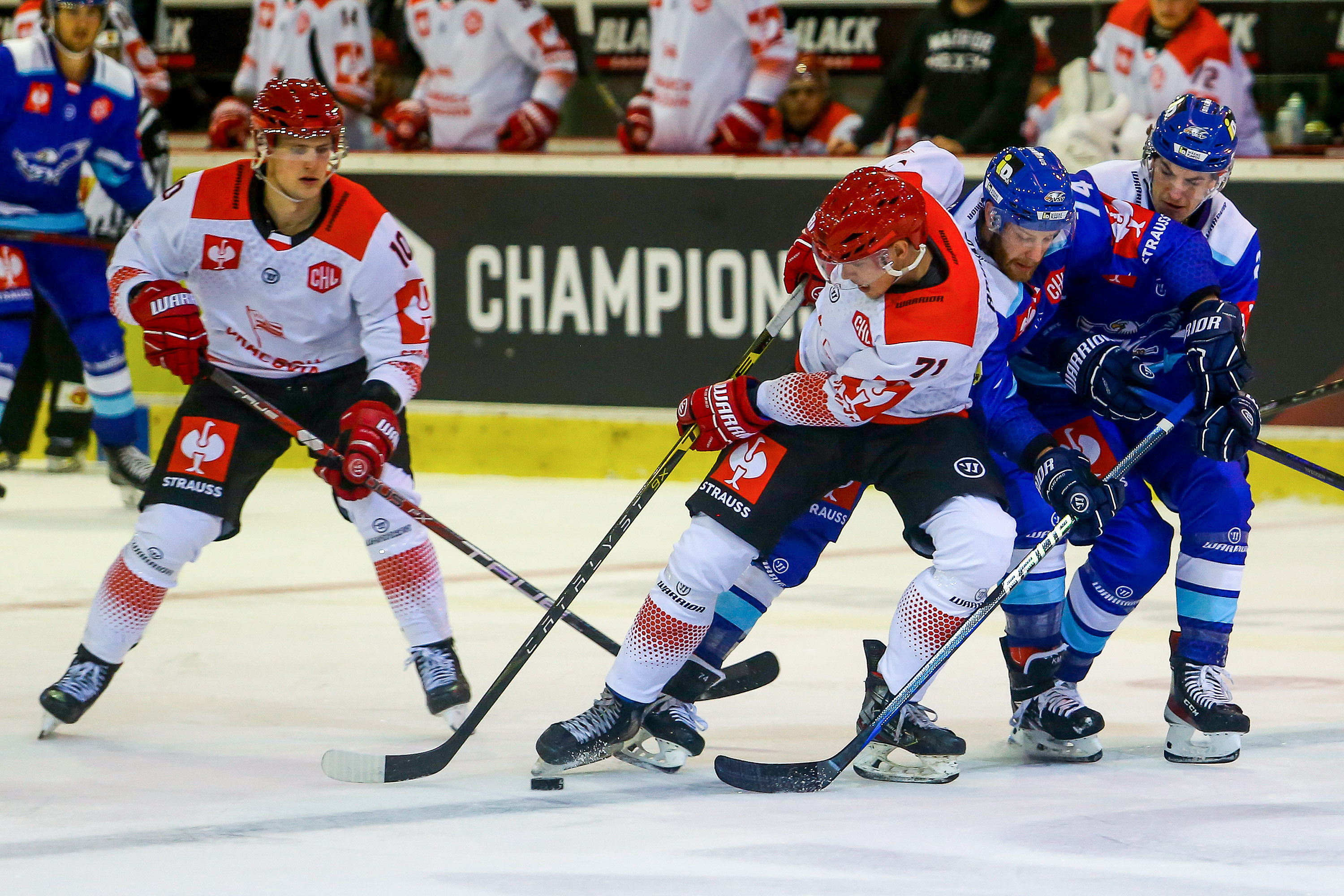 CHL: Comarch Cracovia - Villach SV [SKRÓT]