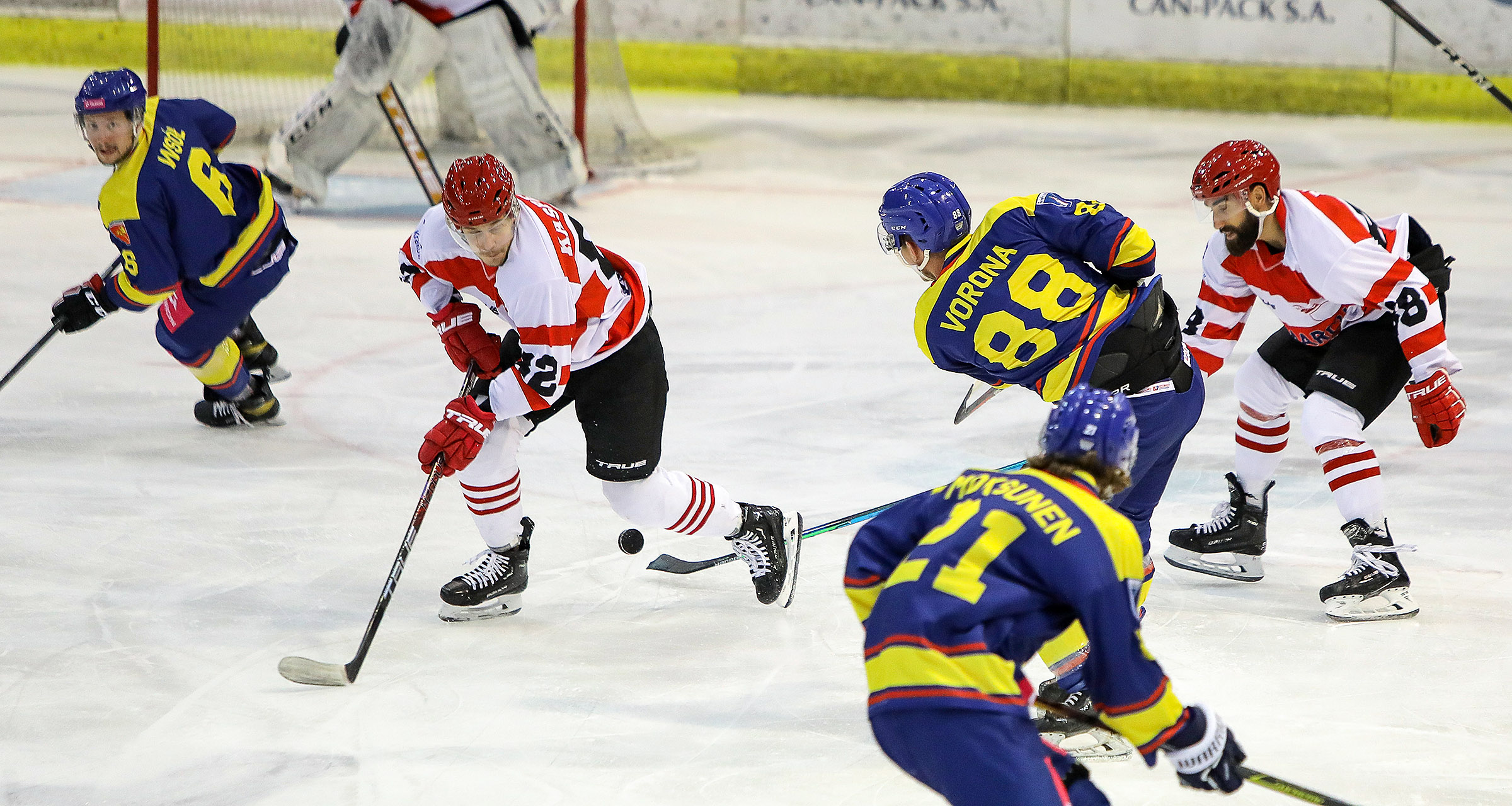 PHL: Comarch Cracovia - Tauron Podhale Nowy Targ [GALERIA]