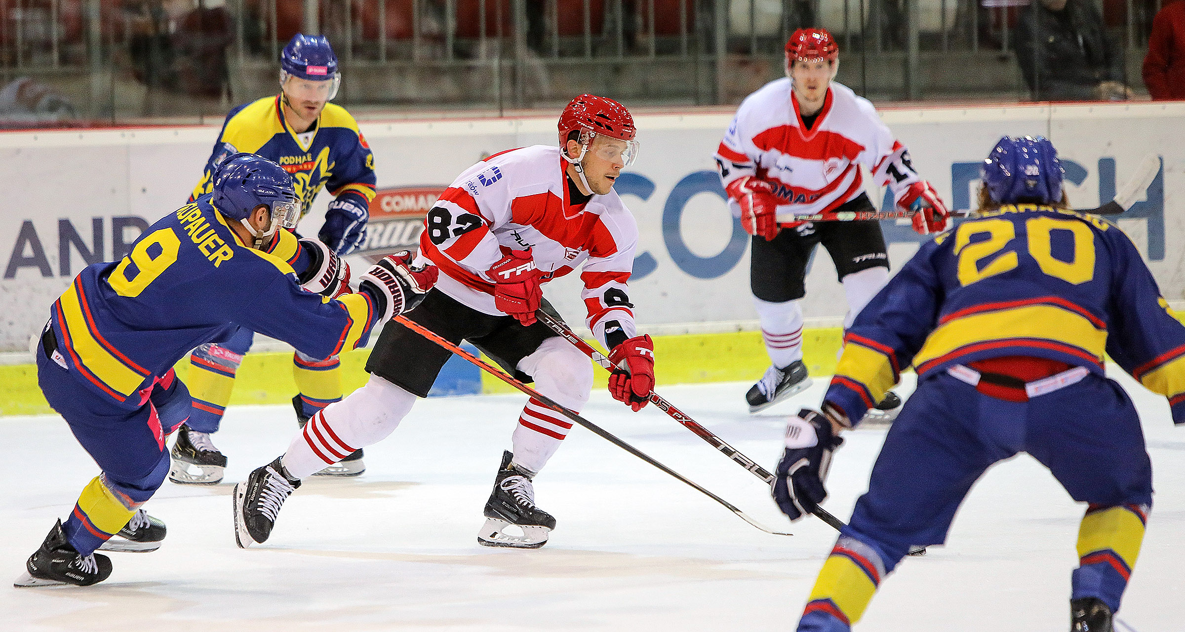 PHL: Tauron Podhale Nowy Targ – Comarch Cracovia [SKRÓT]