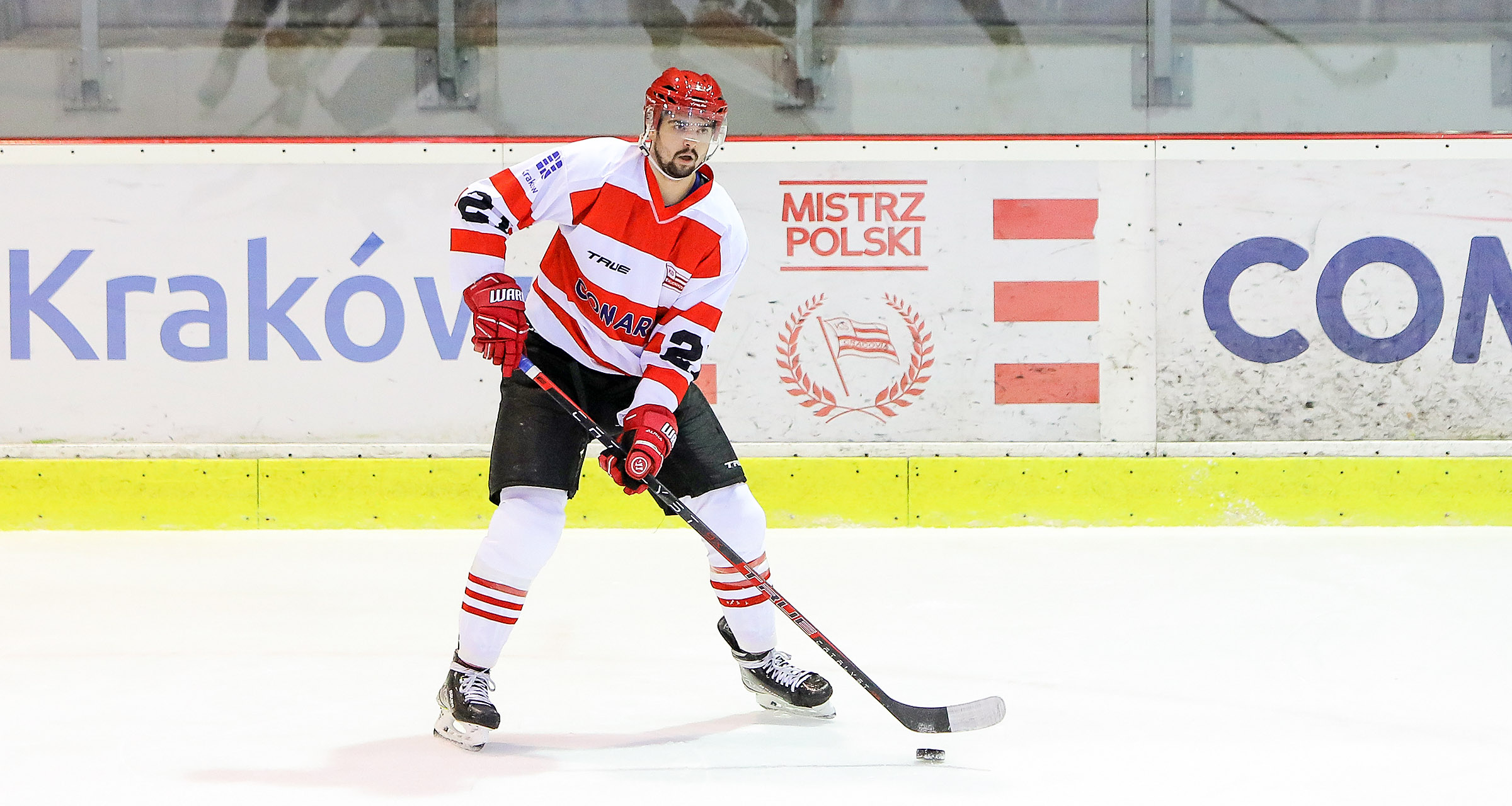 PHL: Comarch Cracovia – Re-Plast Unia Oświęcim, godz. 20:00