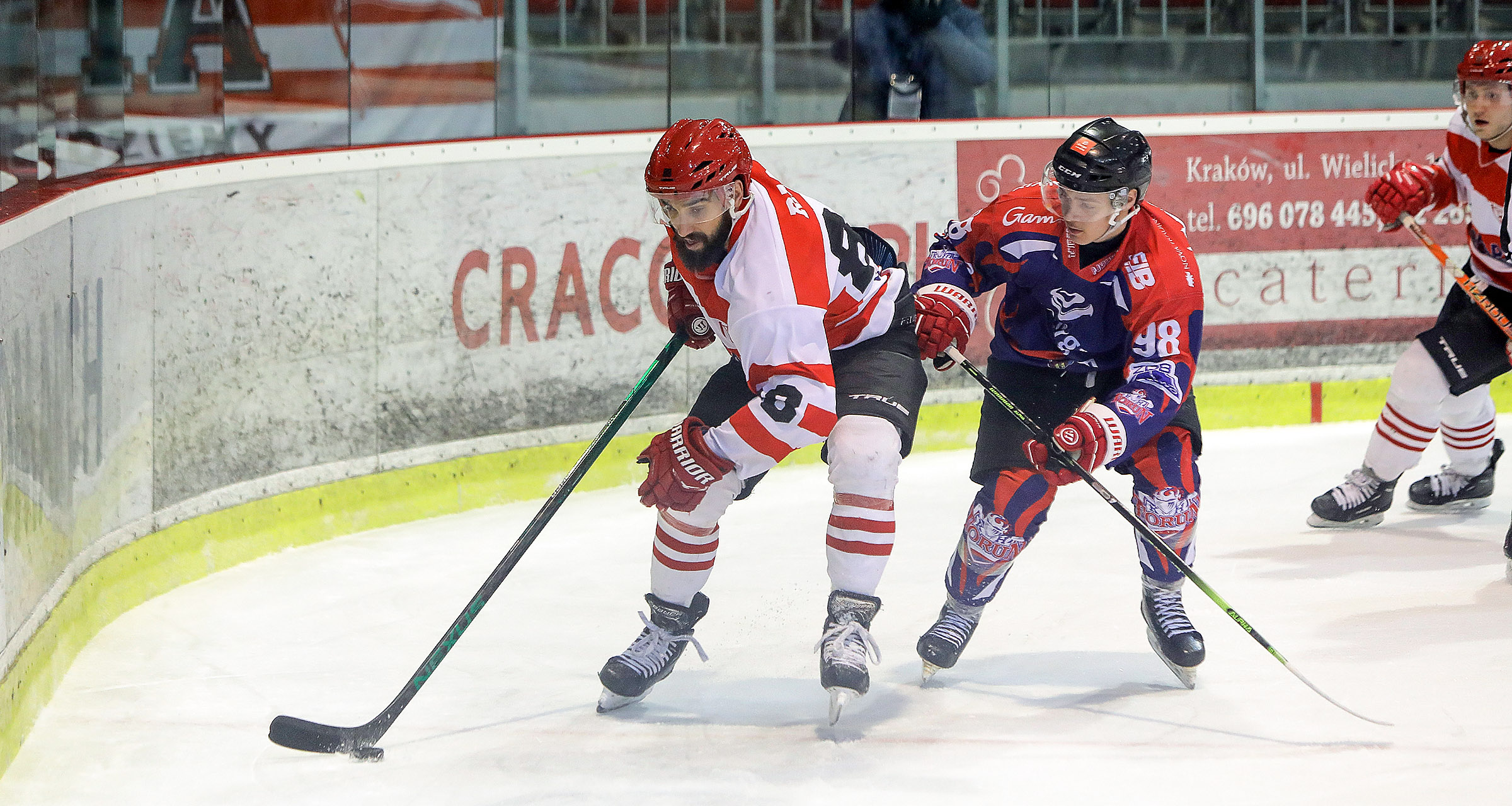 PHL: Comarch Cracovia - KH Energa Toruń [GALERIA]