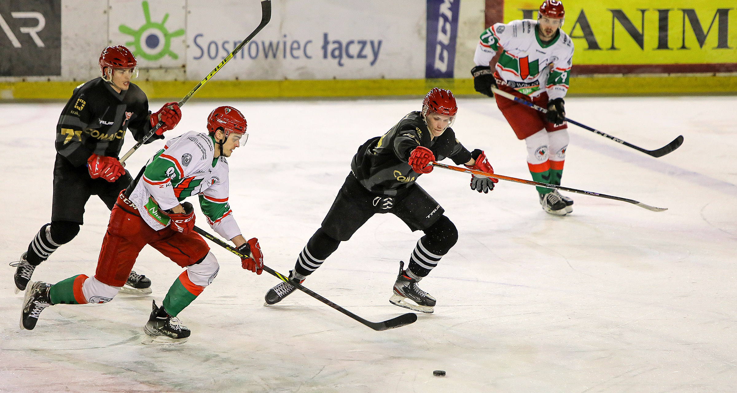 1/4 play-off (4. mecz): Zagłębie Sosnowiec - Comarch Cracovia [GALERIA]