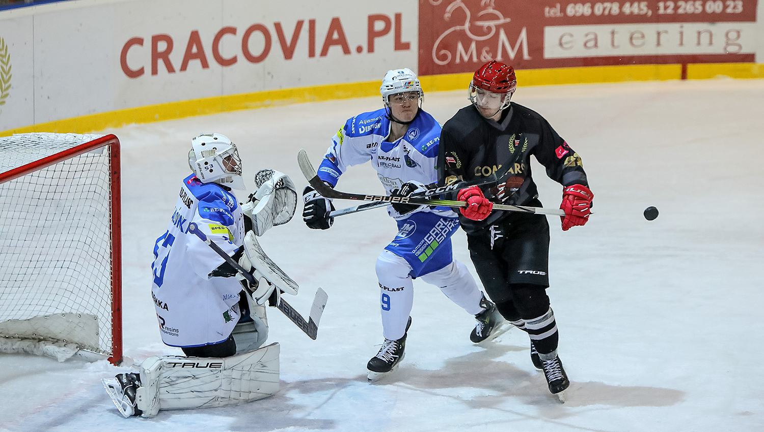 THL: Teddy Bear Toss Game and one point of Pasy