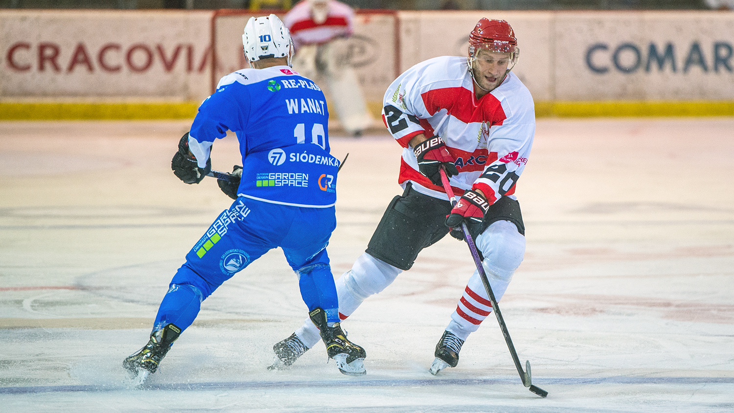 THL: Loss in Oświęcim
