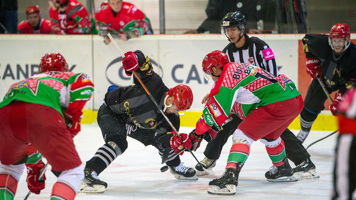 THL: Zagłębie Sosnowiec – Comarch Cracovia, niedziela, godz. 18:00 [ZAPOWIEDŹ]