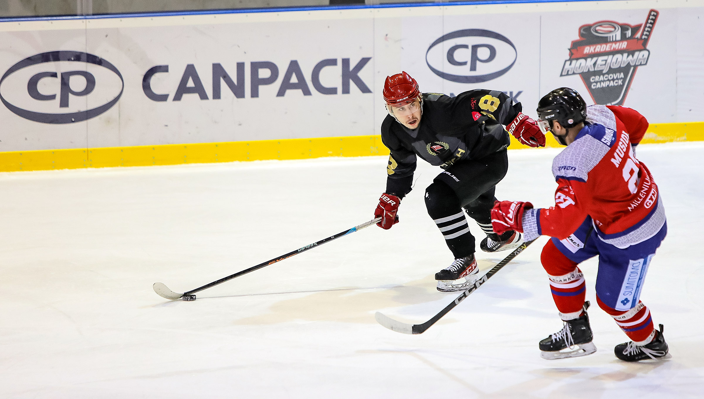 THL: Marma Ciarko STS Sanok – Comarch Cracovia [SKRÓT]