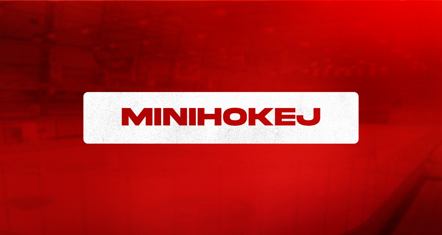 Harmonogram zajęć - minihokej