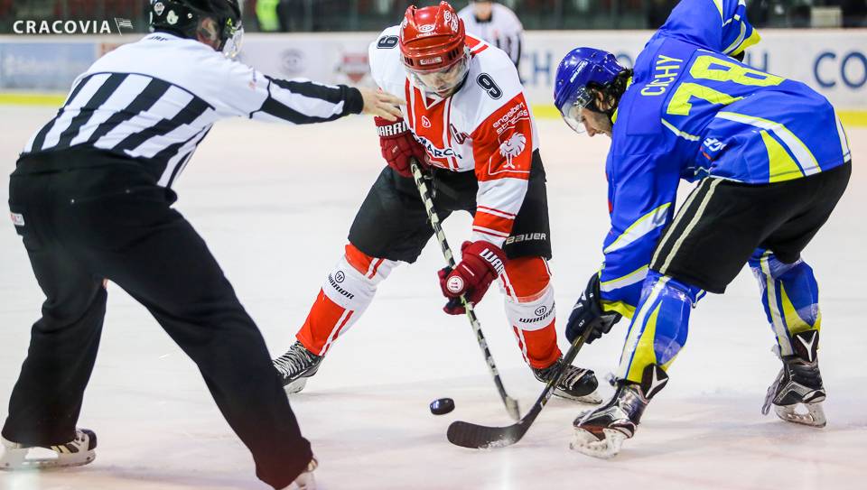 Comarch Cracovia - PGE Orlik Opole [SKRÓT]