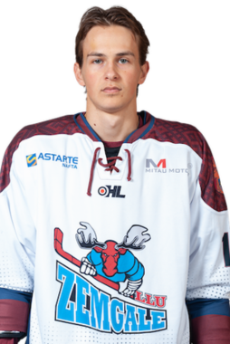 Daniels Gorsanovs