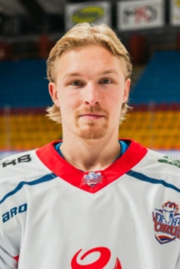 Vili Laitinen