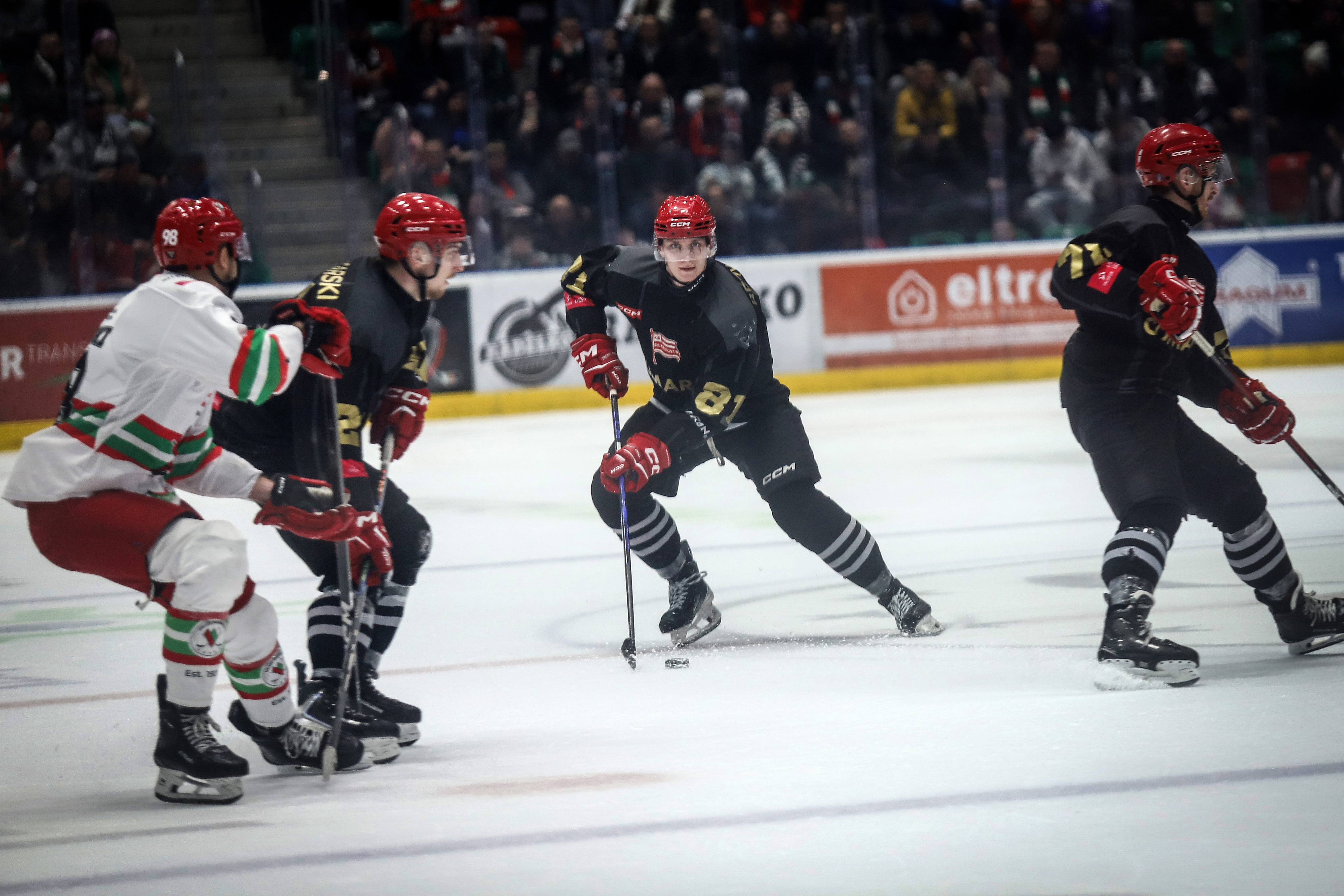 ECB Zagłębie - Comarch Cracovia [GALERIA]