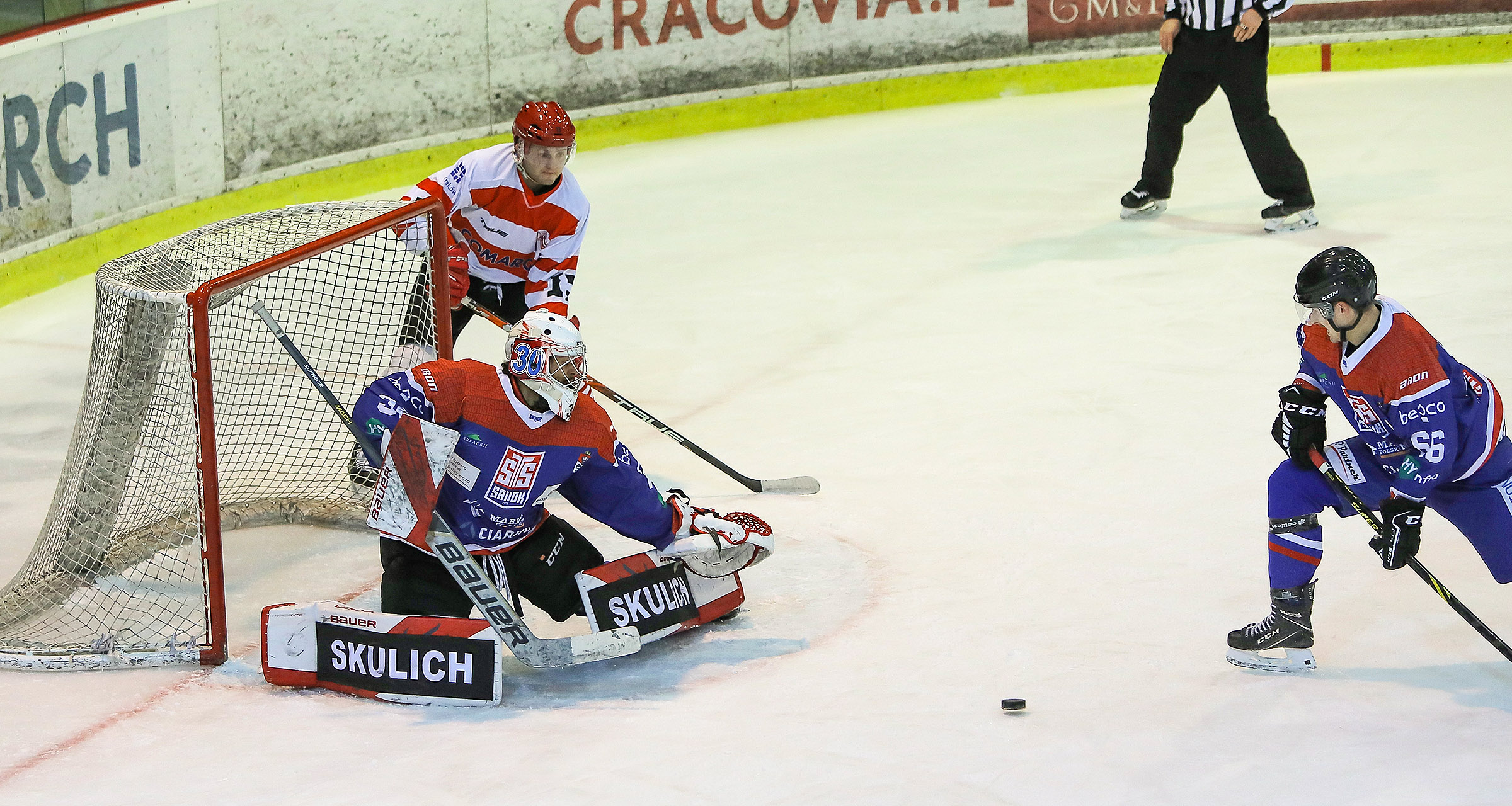 THL: Comarch Cracovia – Marma Ciarko STS Sanok, środa, godz. 18:30 [ZAPOWIEDŹ]