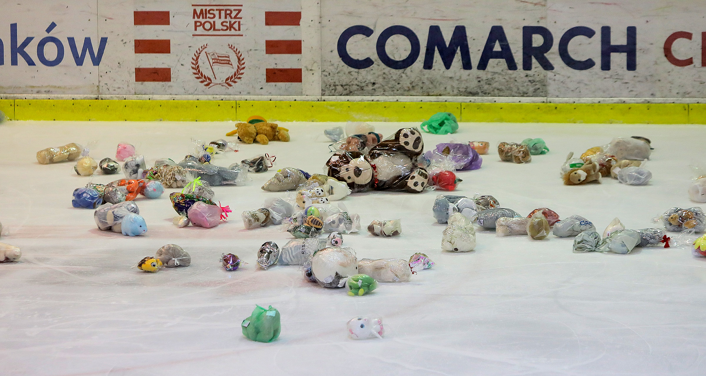 Teddy Bear Toss: Zebraliśmy 1654 maskotki! [VIDEO]