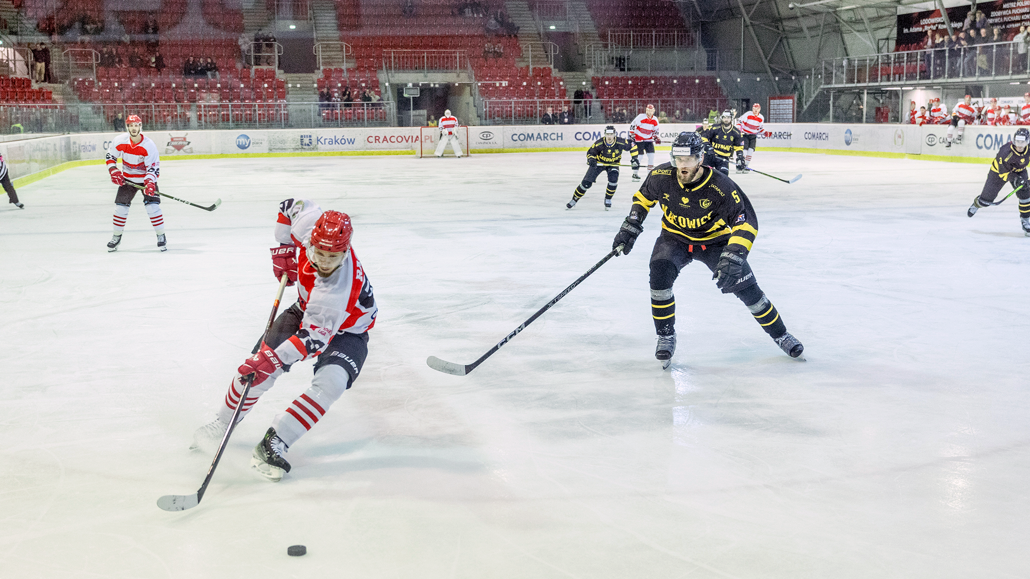 THL: Comarch Cracovia - GKS Katowice [GALERIA]