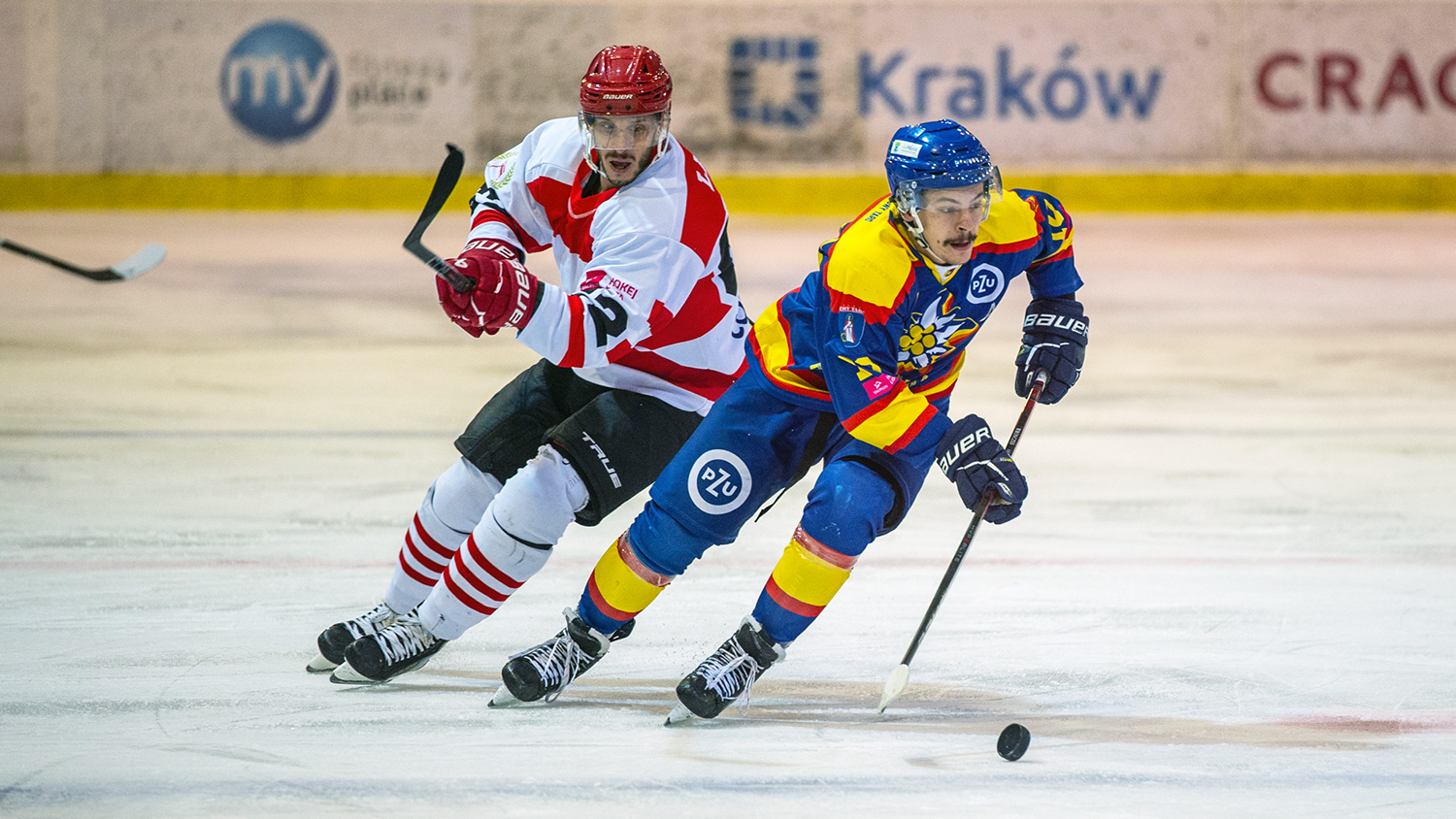 THL: PZU Podhale Nowy Targ – Comarch Cracovia, niedziela, godz. 18:00  [ZAPOWIEDŹ]