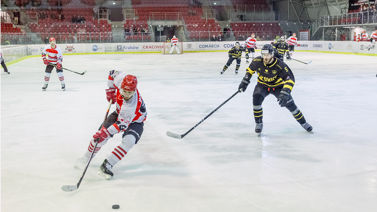 THL: Comarch Cracovia - GKS Katowice [SKRÓT]