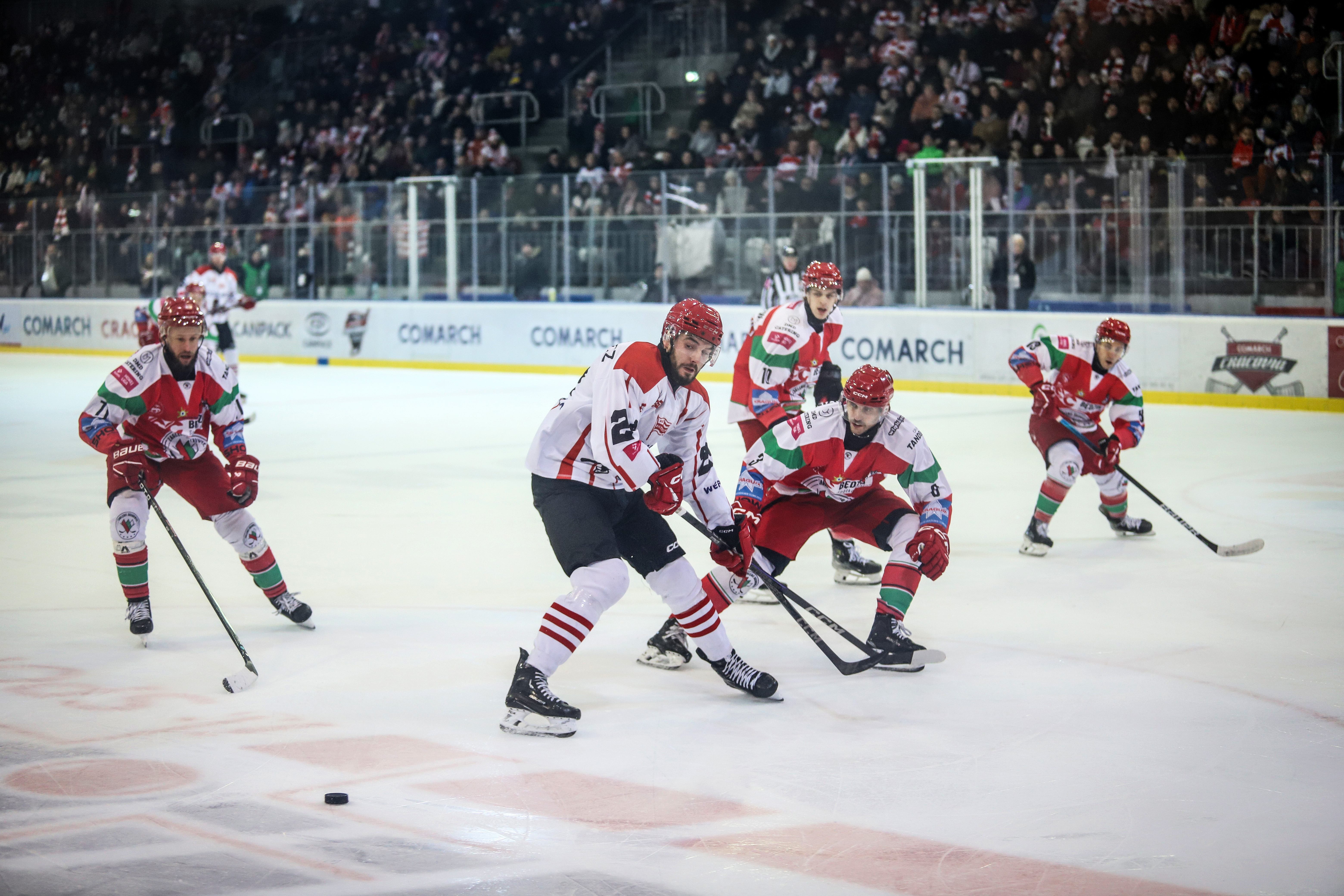 Porażka w Teddy Bear Toss