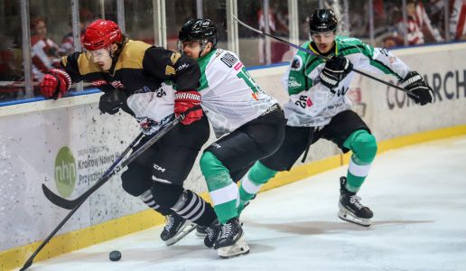 Zwycięski Teddy Bear Toss