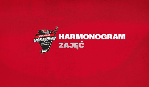 Harmonogram zajęć - 28.10 - 03,11