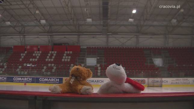 Bracia zapraszają na niedzielny "Teddy Bear Toss". Oryginalnie! 