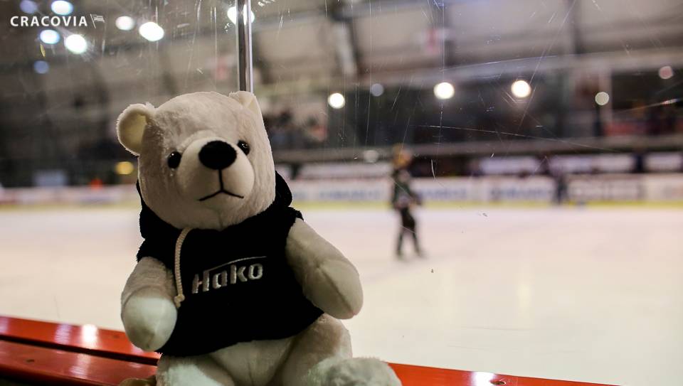 Teddy Bear Toss #NaLodowisku 