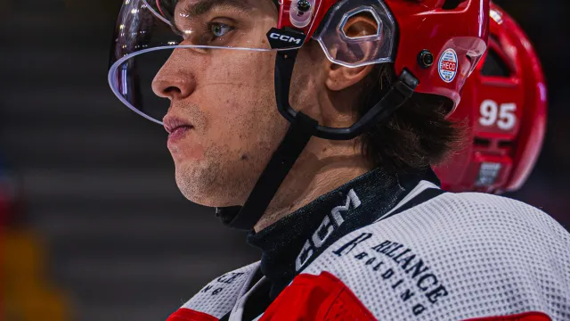 Zdjęcie nr 135